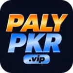 playpkr Game App