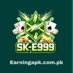E999 Game